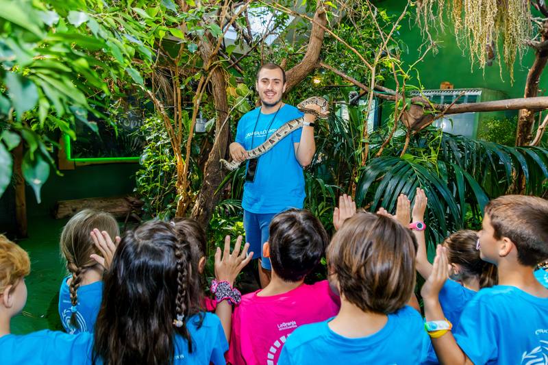 Un monitor explica en un aula de naturaleza a un grupo de escolares con las manos levantadas.