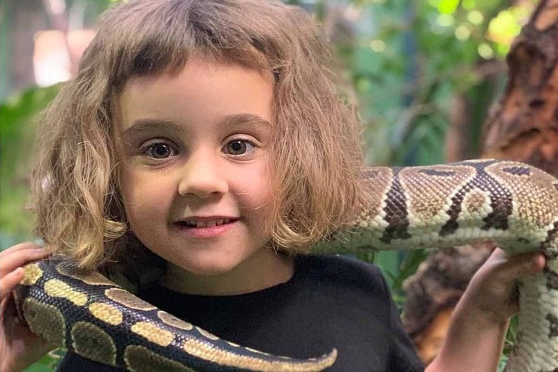 Una niña sonríe con una serpiente pitón sobre los hombros en el aula tropical.