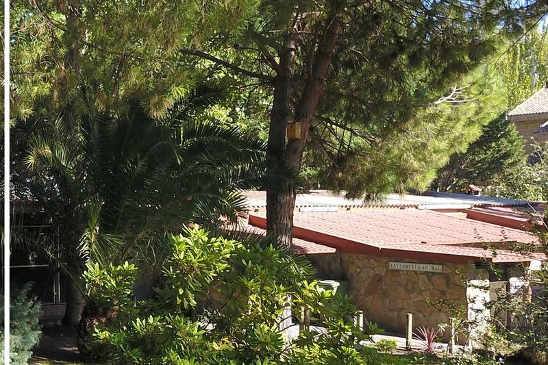 Casita de piedra de la aldea rodeada de pinos y palmeras.