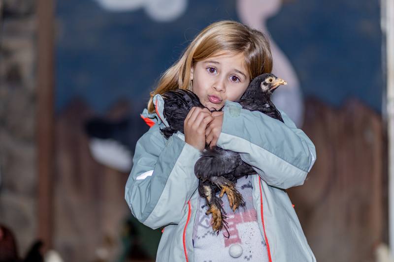 Una niña sonríe abrazada a dos gallinas en La Granja de los Cuentos.