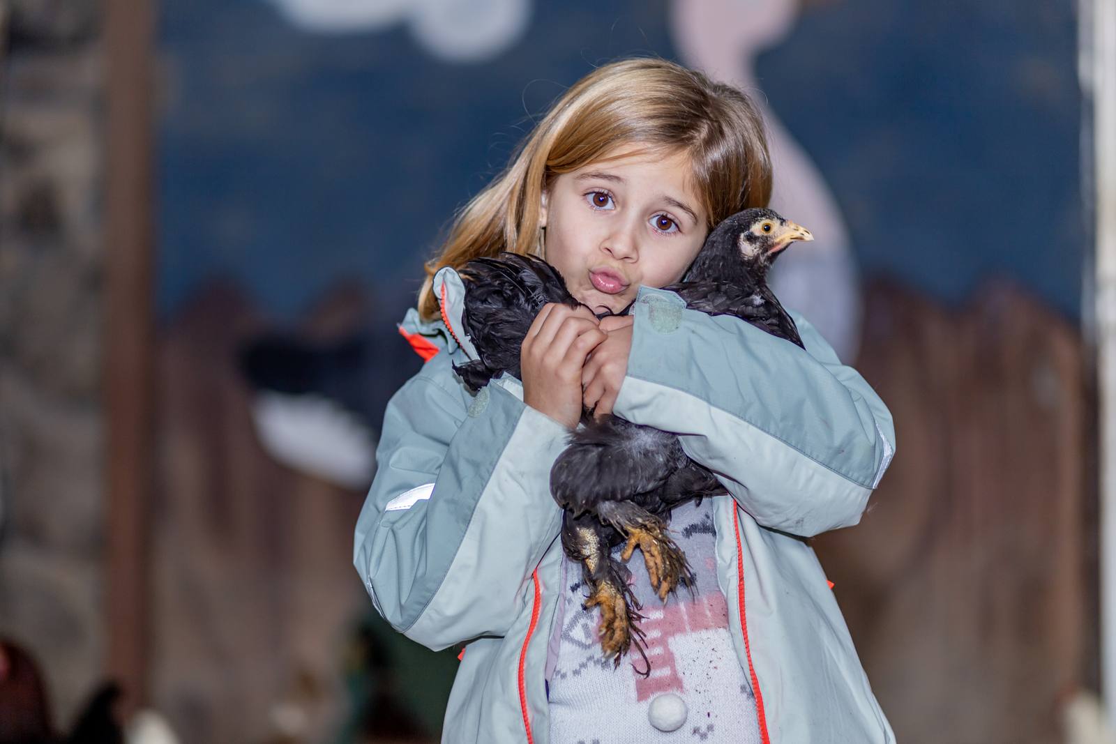 Una niña abraza con las dos manos a una gallina pequeña contra su mejilla.